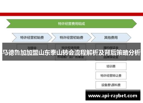 马德鲁加加盟山东泰山转会流程解析及背后策略分析 马德鲁加加盟山东泰山转会流程解析及背后策略分析